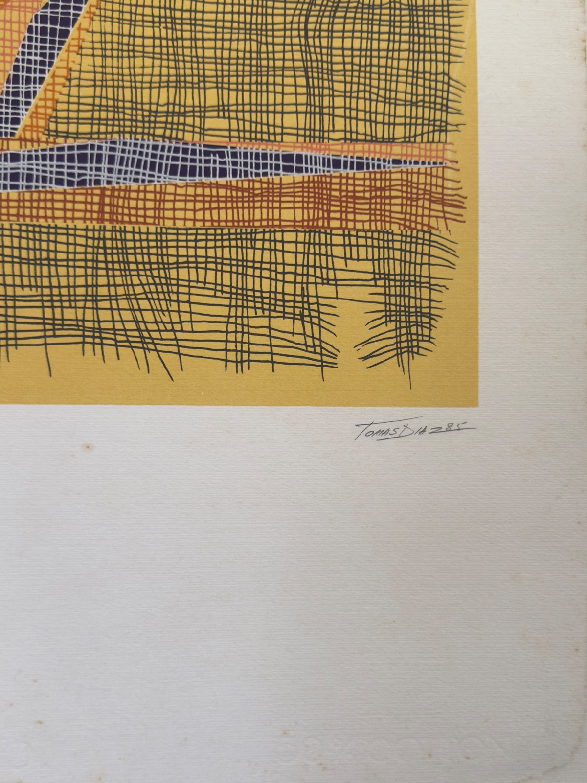 Image by Frederick Arciniegas, 2024