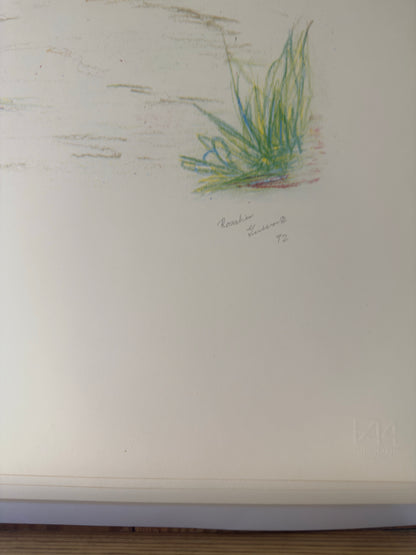 Image by Frederick Arciniegas, 2024