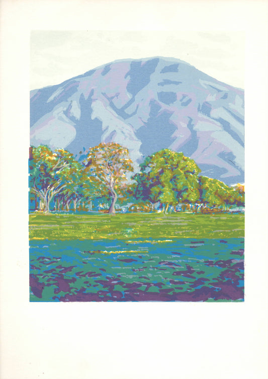 Image by Frederick Arciniegas, 2024