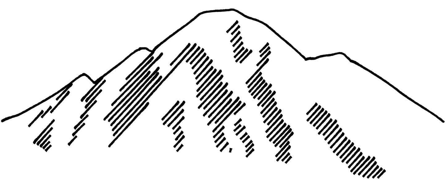 Image by Frederick Arciniegas, 2024